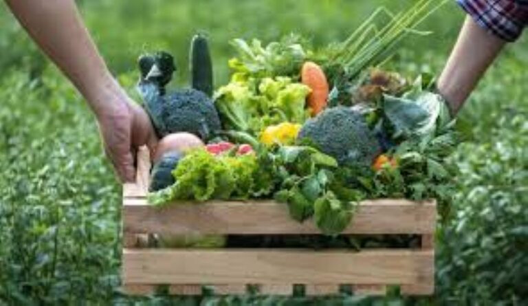 Healthy Habits in the Family Part 2